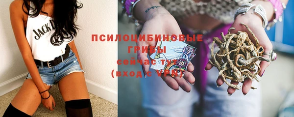 гидропоника Снежинск