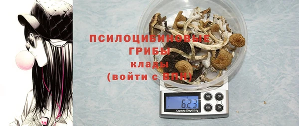 гидропоника Снежинск