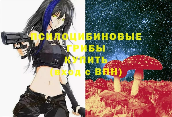мдма Снежногорск