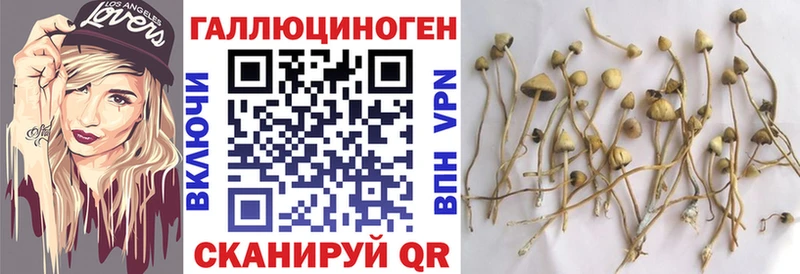 маркетплейс как зайти  Скопин  Галлюциногенные грибы ЛСД 