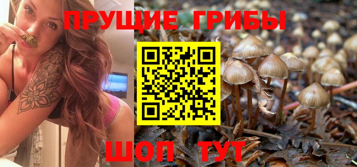 Галлюциногенные грибы Psilocybe  Вход с VPN  Скопин 